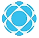 Huko Advisory services logo